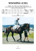 Winnipeg-96-dm