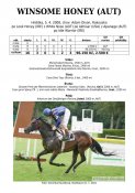Winsome_honey-08w
