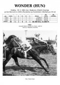 Wonder-hun-82w