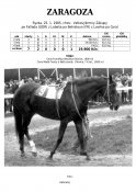 Zaragoza-85w