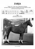 Zarja-73w