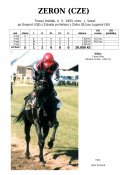 Zeron-93w