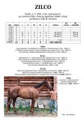Zilco-91w