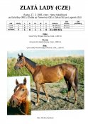 Zlata-lady-95w