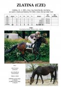Zlatina-01w