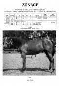Zonace-82w